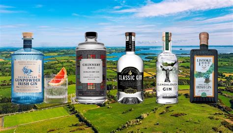 13 Best Irish Gins (To Sip In 2023)