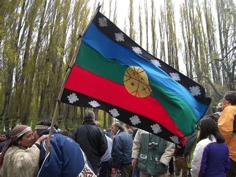 Mapuche flag | Bandera mapuche, Bandera, Mapuches