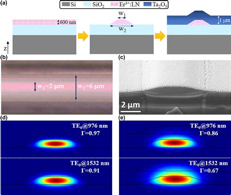 A high-gain cladded waveguide amplifier on erbium doped thin-film ...