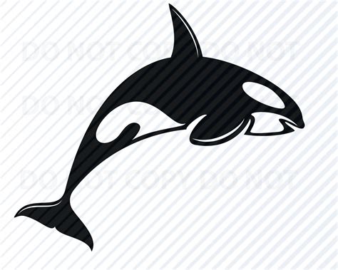 Killer Whale Svg File Images Orca Silhouette Mammal | Etsy