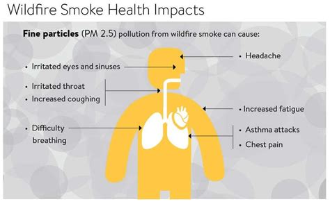 Cross-Border Smoky Threats: Health Impacts of Canadian Wildfire Smoke ...