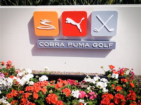 Cobra Golf Custom Fitting Experience - Forum Testing Reviews ...