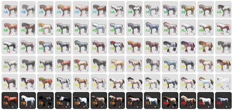 BDO Horse Breeding Advanced: Coats & Color Theory | GrumpyG