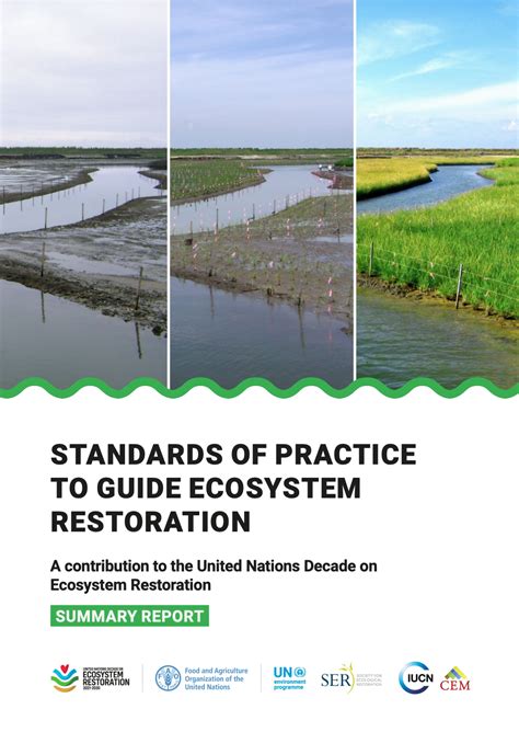 Standards of practice to guide ecosystem restoration - SUMMARY REPORT ...