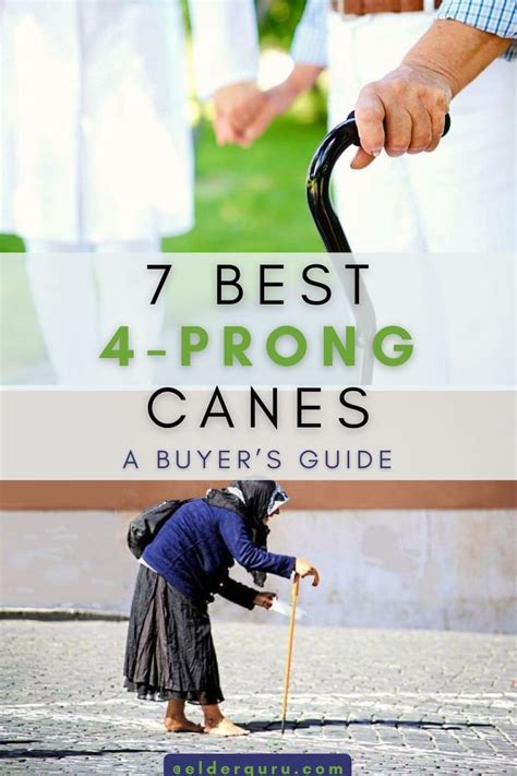 7 Best 4-Prong Canes – A Buyer’s Guide | Prong, Guide, Cane