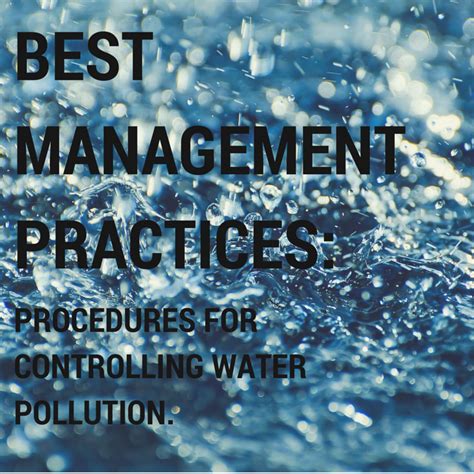 5 Examples of Stormwater Best Management Practices (BMPs) | TriMedia ...