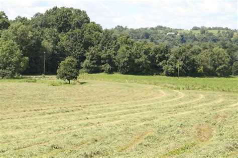 When is the right time to re-seed your hayfield? - Farm and Dairy