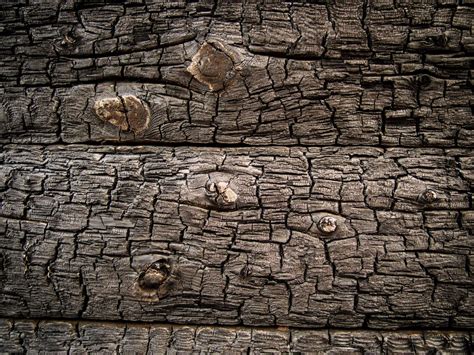 Burnt wood texture | Copyright-free photo (by M. Vorel) | LibreShot