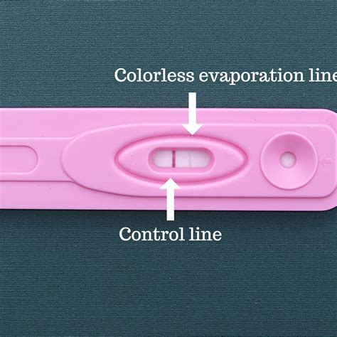 What Is A Pregnancy Test Evaporation Line - Printable Form, Templates ...