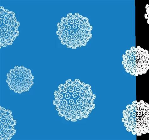 Poster #1 - Development of Luciferase cell lines allows tumor ...