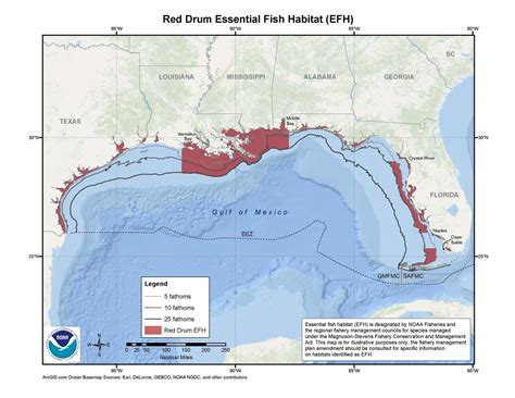 Red Drum Essential Fish Habitat (EFH) Map & GIS Data | NOAA Fisheries