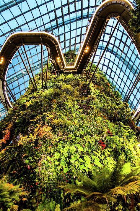 Cloud Forest Dome Singapore Photograph by David Rolt - Fine Art America