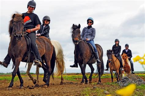 Horse Riding Tours in Iceland