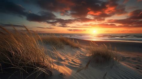 Premium AI Image | sand dunes on the beach at sunset