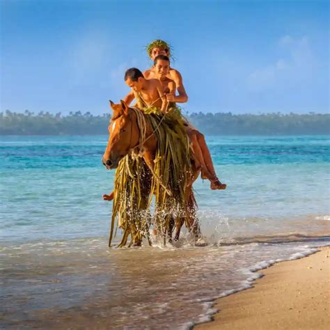 Homepage - Tonga Tourism