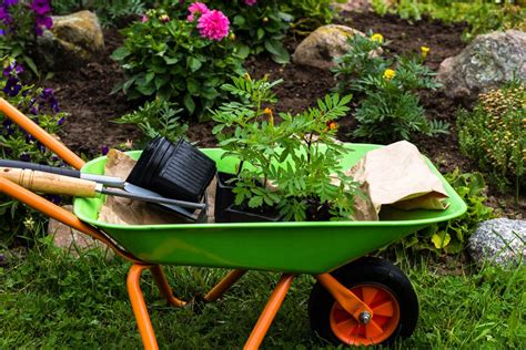 Using Wheelbarrows In Gardens: How To Choose A Wheelbarrow For The ...