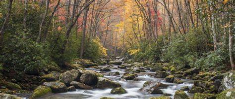 Tips for Visiting Great Smoky Mountains National Park in NC | VisitNC.com