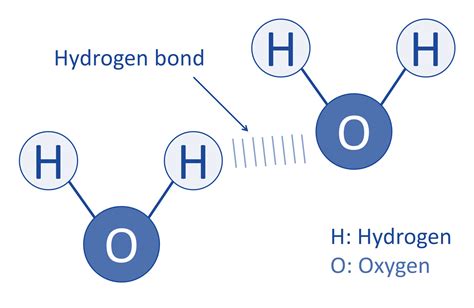 [DIAGRAM] Labeled Diagram Of Hydrogen Bonding - MYDIAGRAM.ONLINE