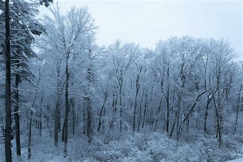 Snow Scene 2023 v3 Photograph by Lorraine Palumbo - Fine Art America