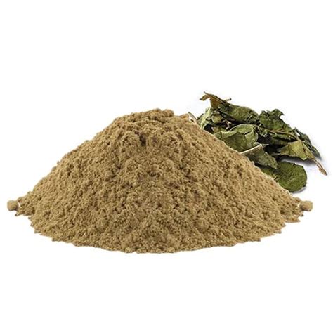 Gurmar Powder: Benefits, Uses, and Tips for a Healthier You