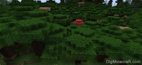 Forest Biome in Minecraft