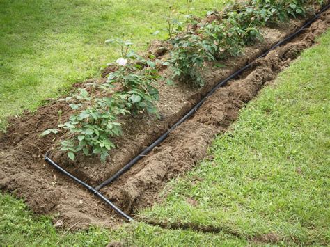 How To Install Garden Irrigation: Ways To Put In Irrigation Systems ...