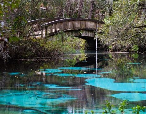 Guide for Visiting Juniper Springs in Florida's Ocala National Forest