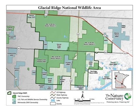 Return of the tallgrass prairie | MPR News