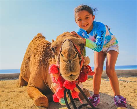 CAMEL RIDE | Eco Cat