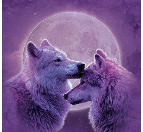 Wolf Couple Wallpapers - 4k, HD Wolf Couple Backgrounds on WallpaperBat