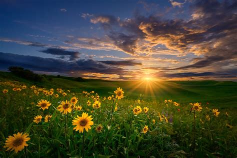 Download Landscape Nature Sunrise HD Wallpaper