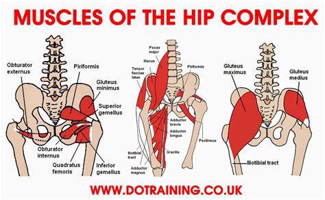 Hip Internal Rotation – POST COMPETITIVE INSIGHT