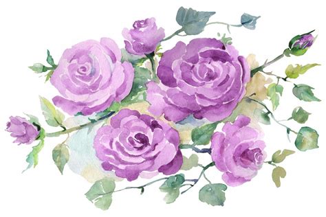 Bouquet with purple roses Watercolor png