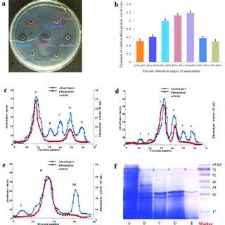 Fibrinolytic activity of protein precipitated by different percent ...