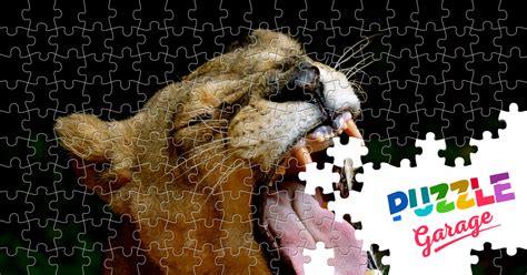 Lioness with open mouth Jigsaw Puzzle (Animals, Mammals) | Puzzle Garage