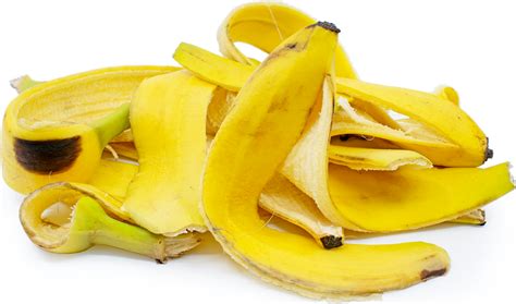 Homemade Banana Peel Fertilizer - Uses and Benefits