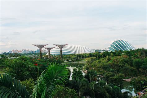 Under The Dome And Into The Forest... In Singapore - Hand Luggage Only ...