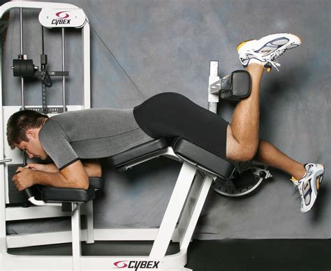 pec deck machine alternative - Callie Giordano