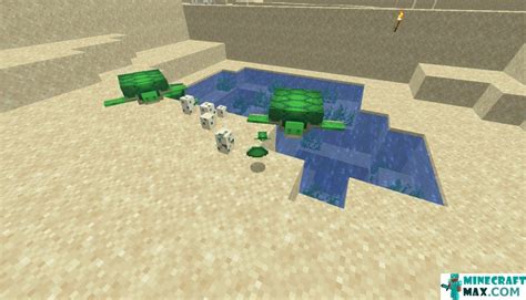 How to make Turtle shell in Minecraft | Minecraft-Max.com