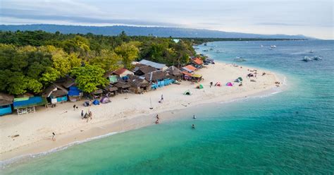 Cebu Moalboal Sardine Run, Pescador Island & Turtle Bay Tour with Lunch ...