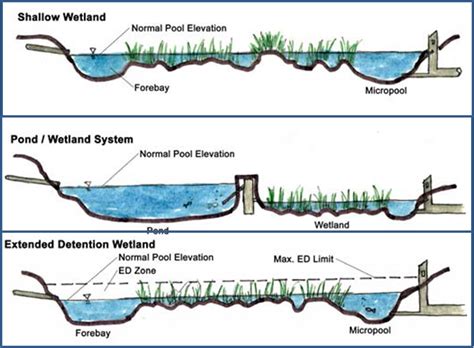 File:Major wetland types.png - Minnesota Stormwater Manual