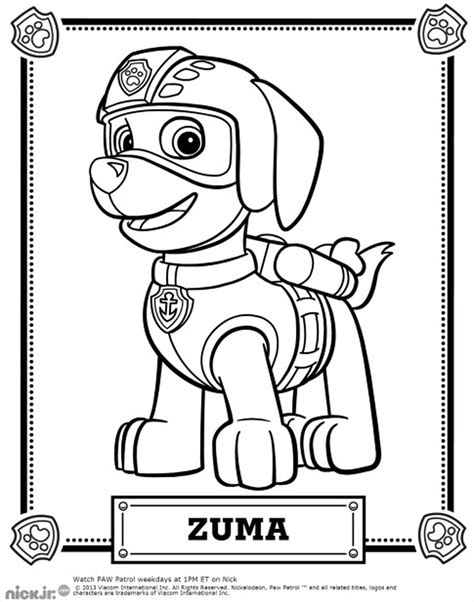 Patrol : Zuma - Paw Patrol Coloring Pages for Kids