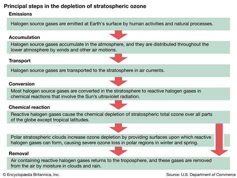 Harmful Effects Of Ozone Layer Depletion