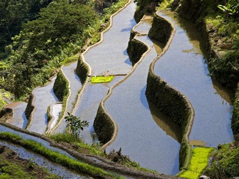 The 8th Wonder of the World - The Banaue Rice Terraces in the Philippines