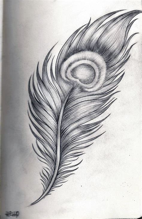 Pin by Leha Velasquez on Tattoos | Feather sketch, Feather drawing ...