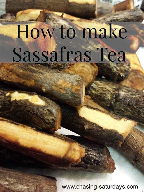 Sassafras Tea | Herbal teas recipes, Sassafras tea, Foraging recipes