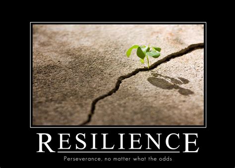 5 Characteristics Of Incredibly Resilient People | Resilience quotes ...