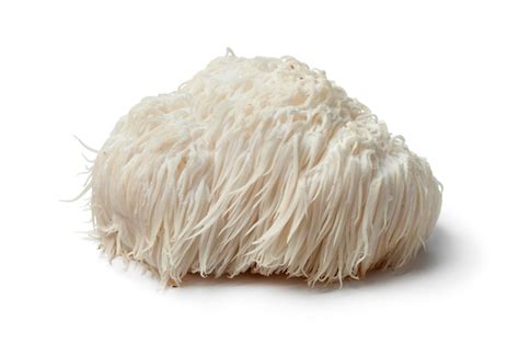 Premium Photo | Lion's mane mushroom