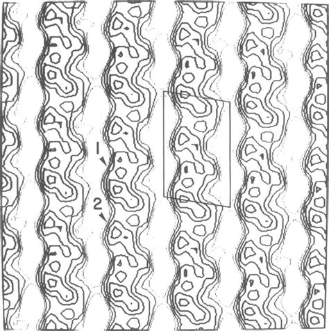 Reconstructed images of the tubulin sheets. (Left) Tubulin sheets ...