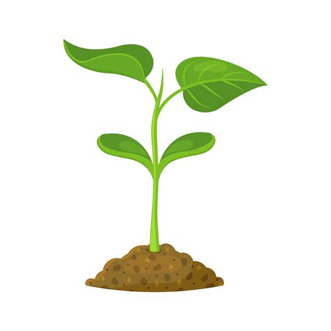 Green sprout in the soil on a white background. Vector illustration of ...